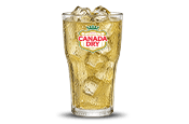 Beverage-Images_175x115_0004s_0000_Canada-Dry.png